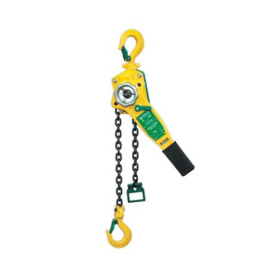 Lifting Chain
